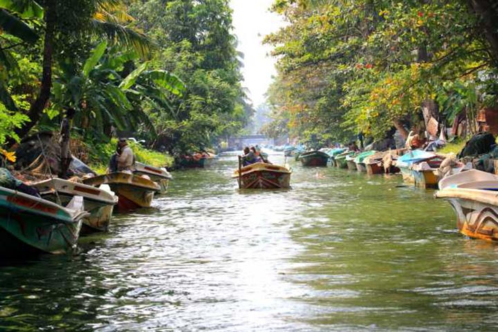 Dutch Canal