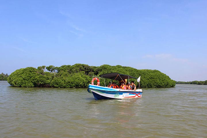 Negombo Lagoon