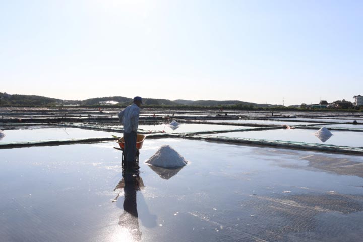 Puttalam Salt Factory