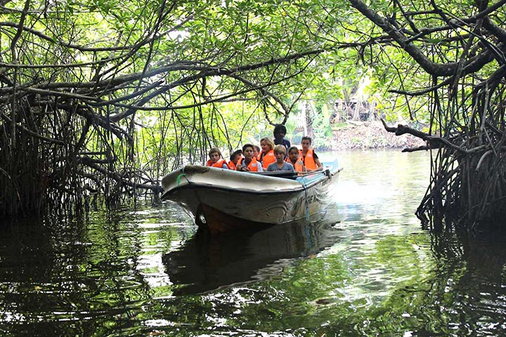 Madu River or Bentara Boat Safari