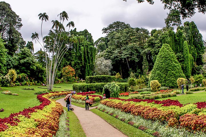 Peradeniya Botanical Garden