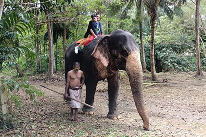 Elephant Riding