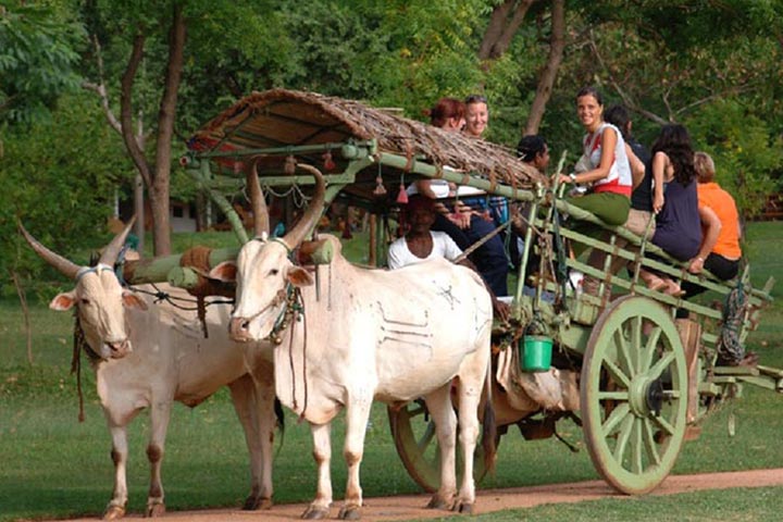 Sigiriya Village