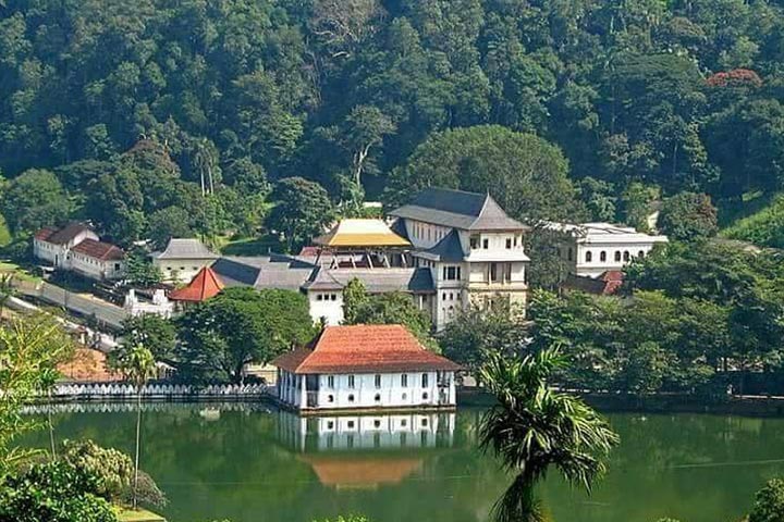 Kandy City View