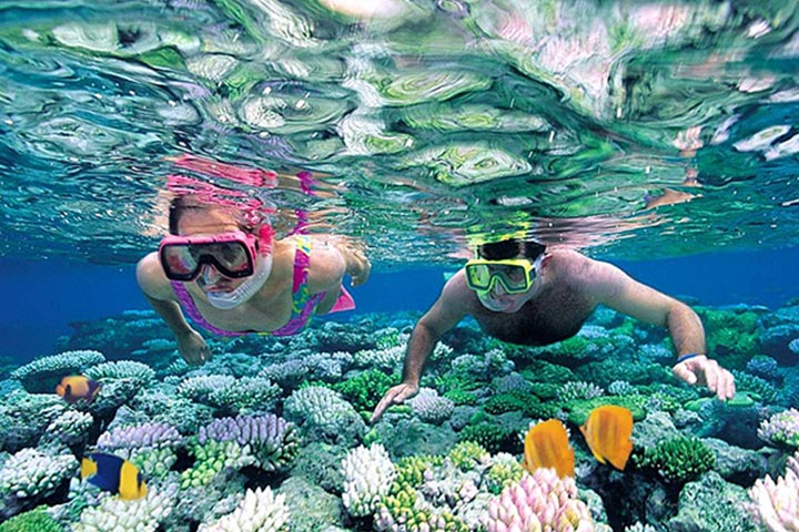 Snorkeling