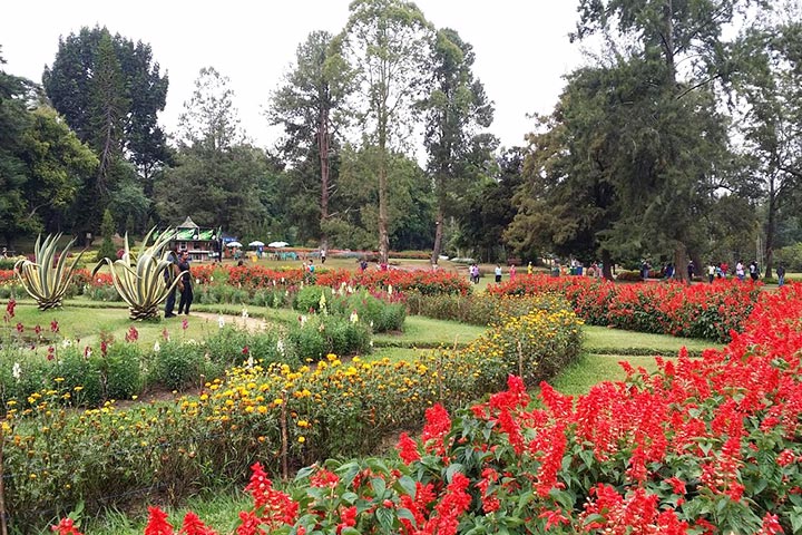 Peradeniya Botanical Garden