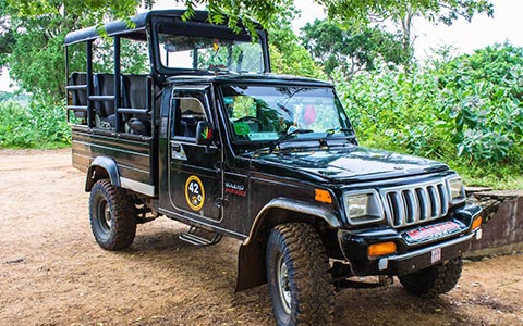 Ceylon Master Tours - Taxi Hire - Safari Long Jeep